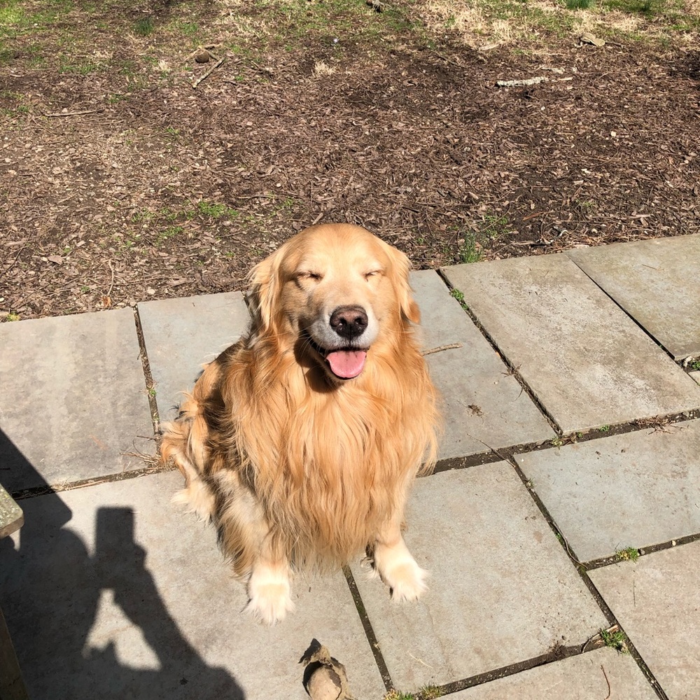 Meet your Posher, Christopher